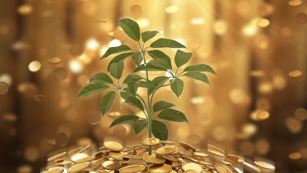 不安を減らすためにやめたお金の考え方